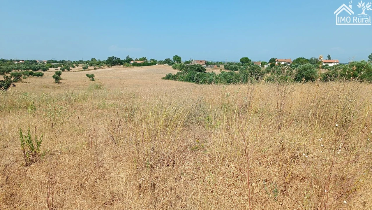Terreno para Venda em São Vicente do Paul e Vale de Figueira Foto 21