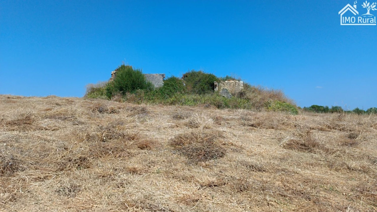 Terreno para Venda em São Vicente do Paul e Vale de Figueira Foto 1