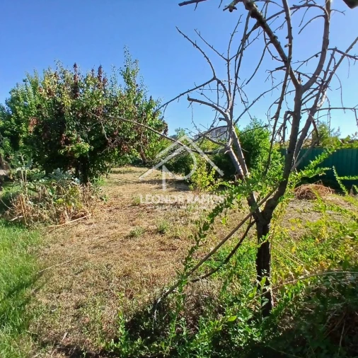 Moradia T5 para Venda em Ladoeiro Foto 36