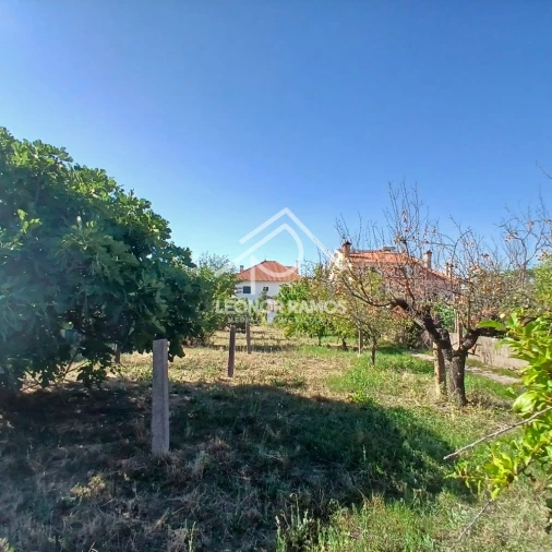 Moradia T5 para Venda em Ladoeiro Foto 47