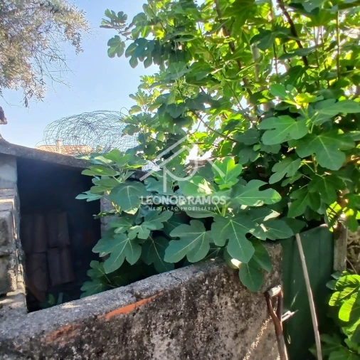 Moradia T5 para Venda em Ladoeiro Foto 40