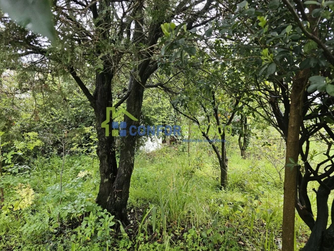 Moradia T9 para Venda em Castelo Branco Foto 59