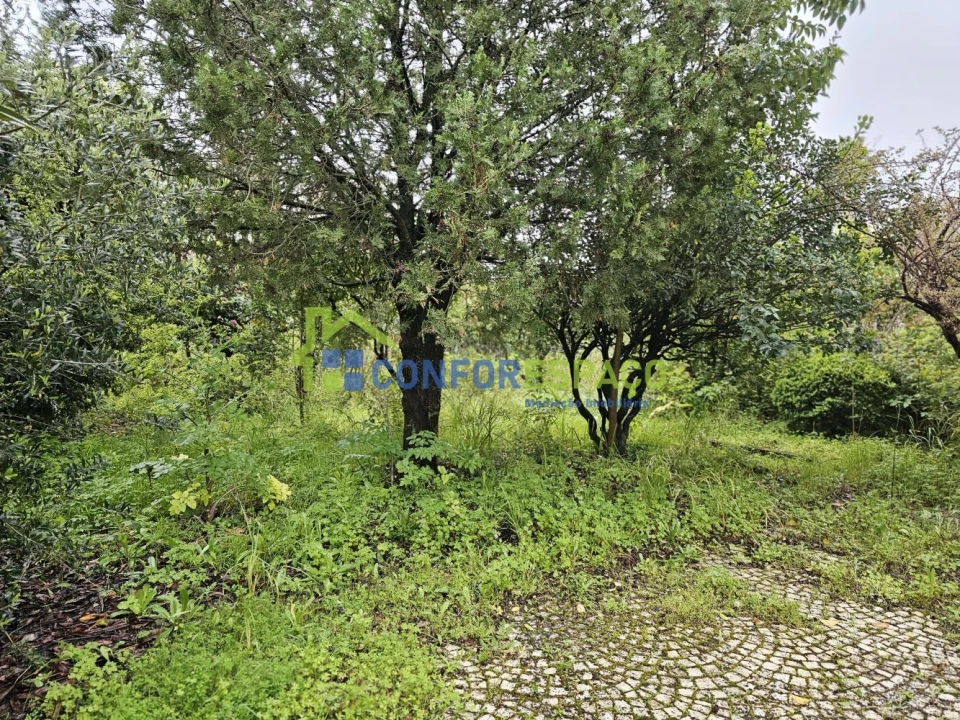 Moradia T9 para Venda em Castelo Branco Foto 58