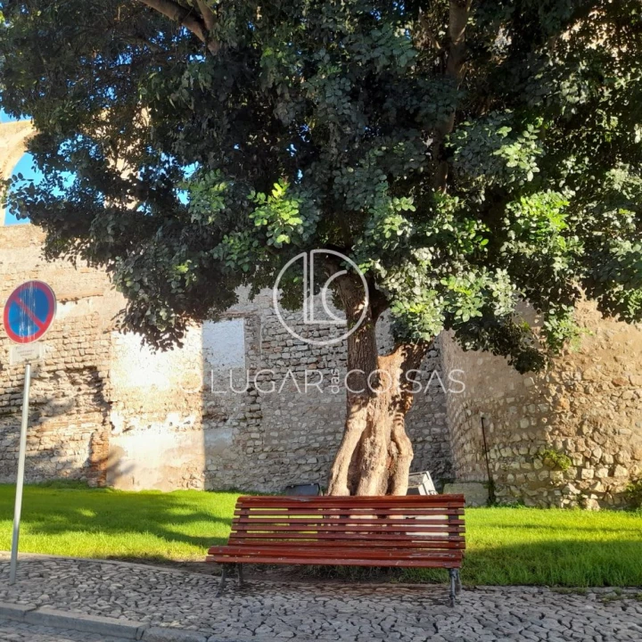 Moradia T5 para Venda em Serpa (Salvador e Santa Maria) Foto 7