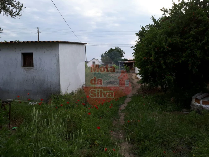 Terreno para Venda em Biscainho Foto 4