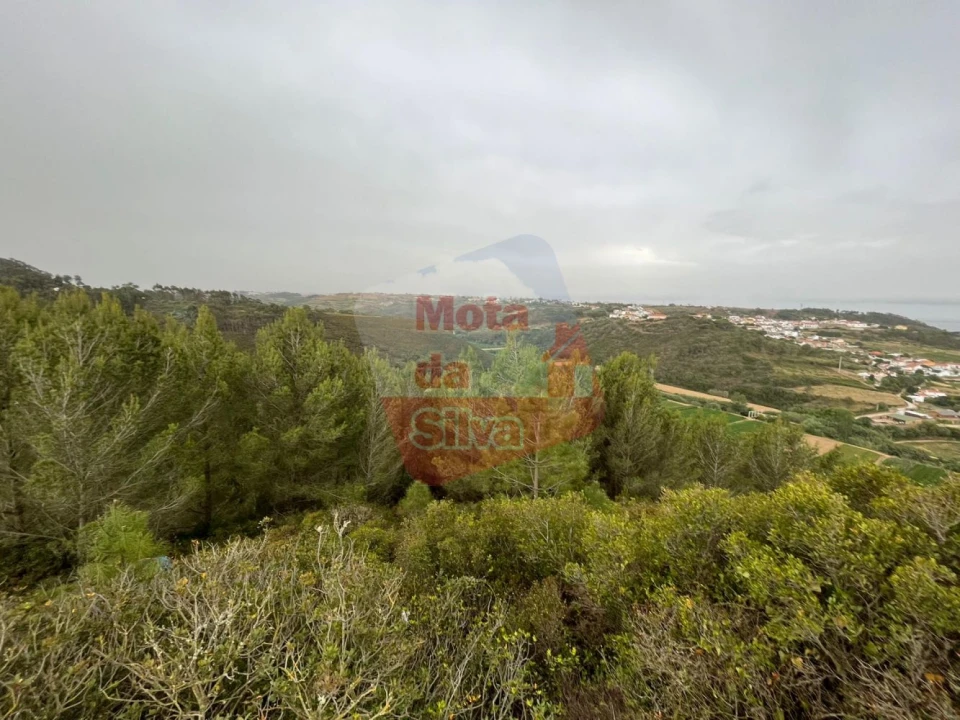 Terreno para Venda em Carvoeira Foto 4