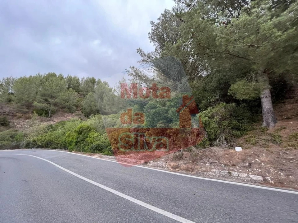 Terreno para Venda em Carvoeira Foto 15