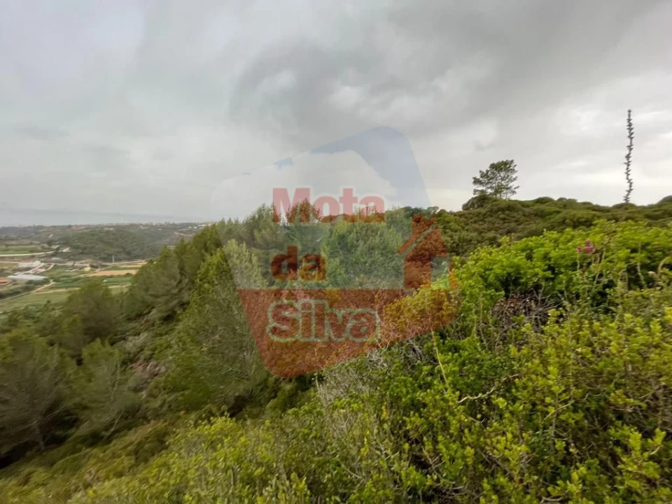 Terreno para Venda em Carvoeira Foto 11