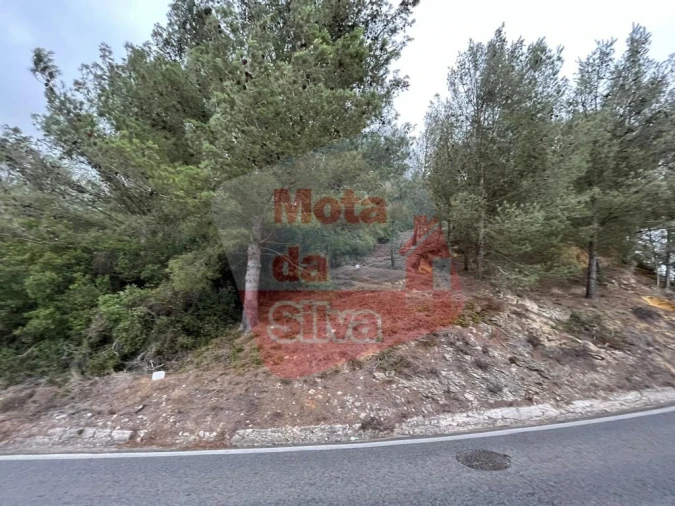 Terreno para Venda em Carvoeira Foto 17