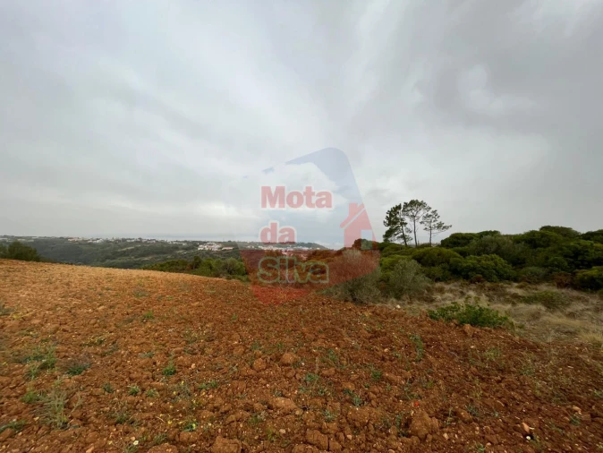 Terreno para Venda em Carvoeira Foto 9