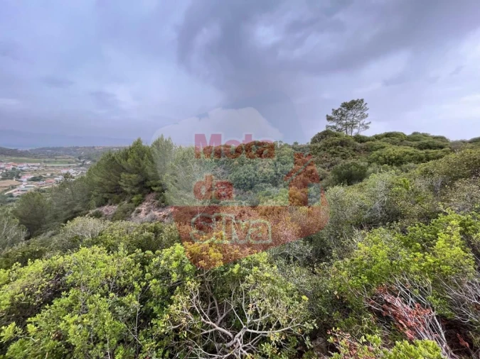 Terreno para Venda em Carvoeira Foto 14