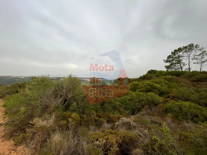 Terreno para Venda em Carvoeira Foto 10