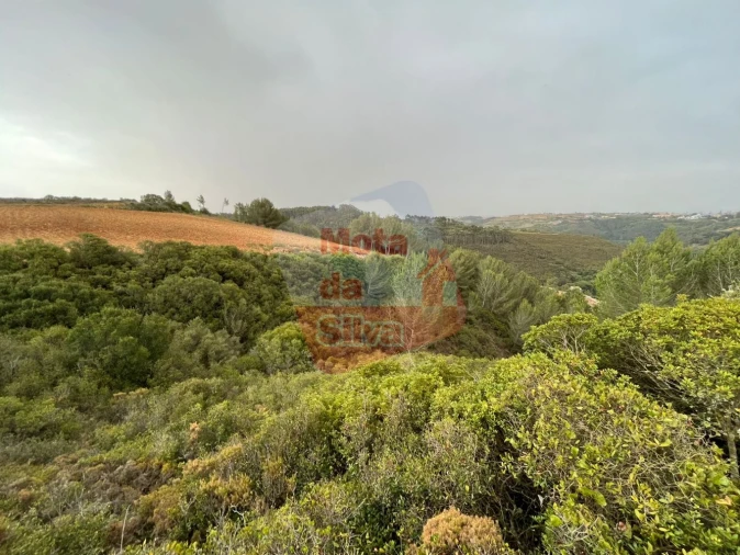 Terreno para Venda em Carvoeira Foto 3