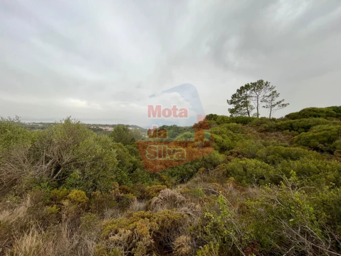 Terreno para Venda em Carvoeira Foto 7