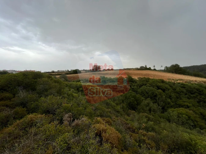 Terreno para Venda em Carvoeira Foto 6