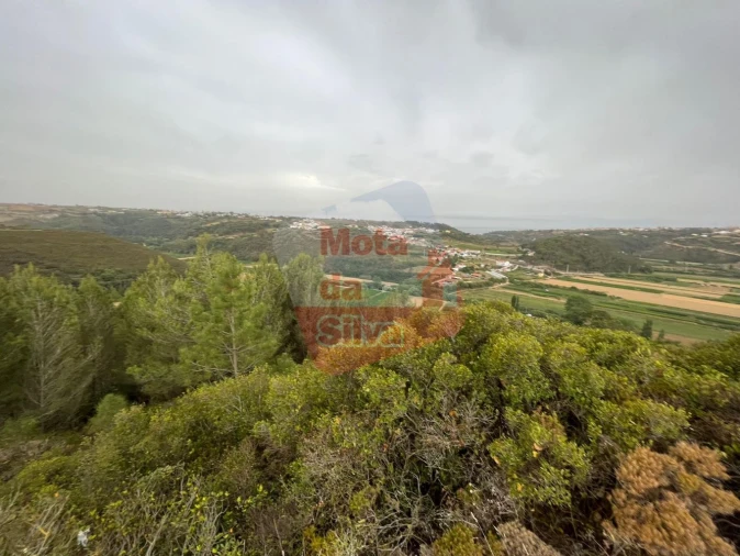 Terreno para Venda em Carvoeira Foto 5