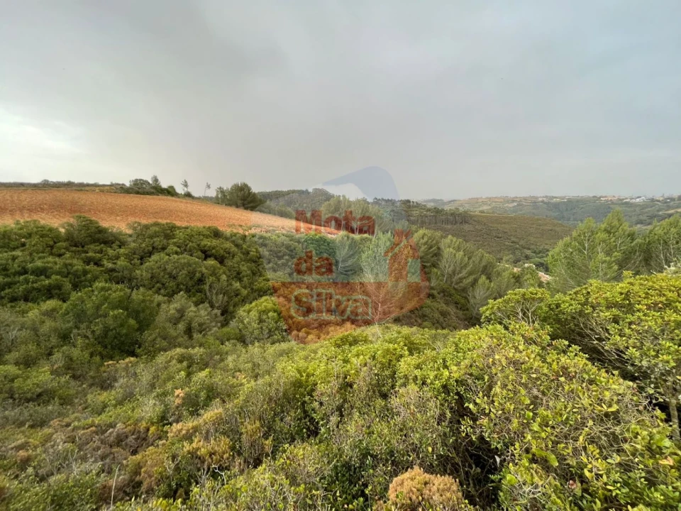 Terreno para Venda em Carvoeira Foto 3