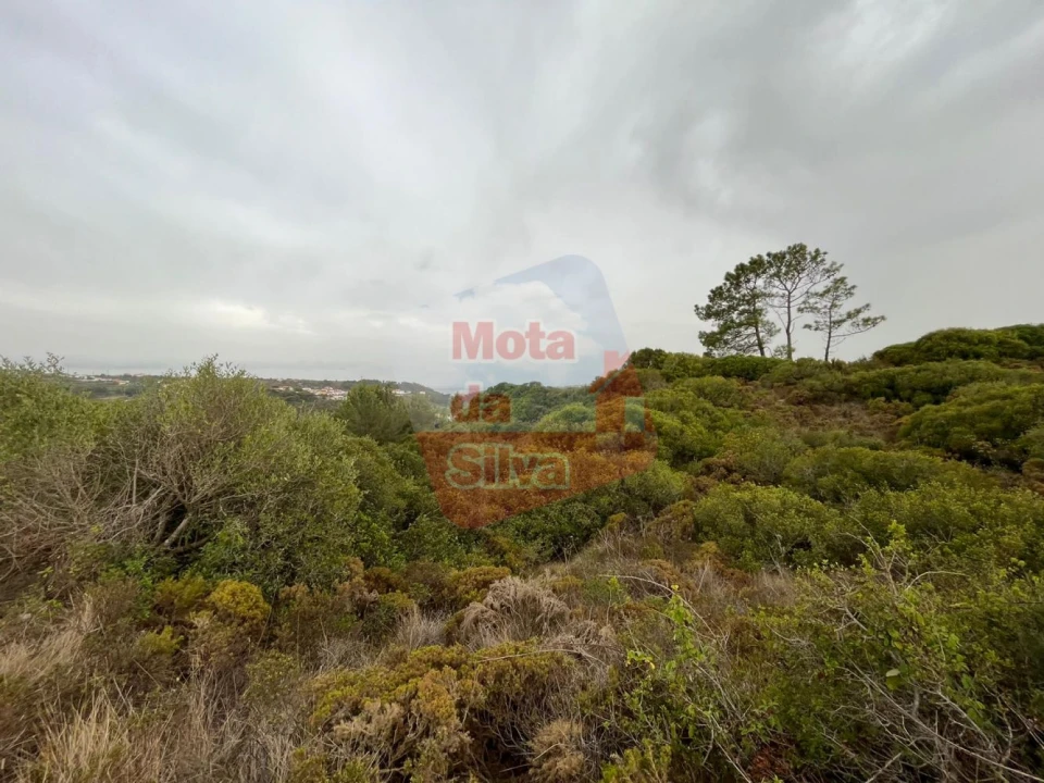 Terreno para Venda em Carvoeira Foto 7