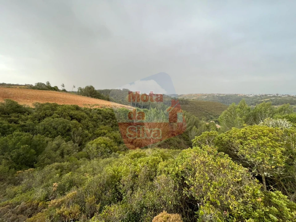 Terreno para Venda em Carvoeira Foto 8