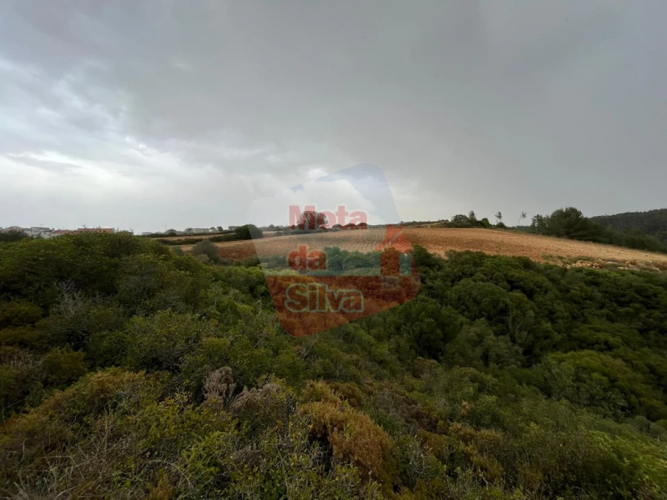 Terreno para Venda em Carvoeira Foto 6