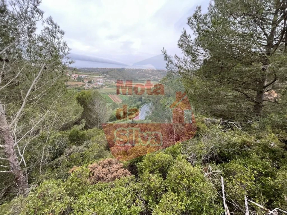 Terreno para Venda em Carvoeira Foto 12