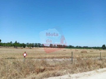 Terreno para Venda em Palmela