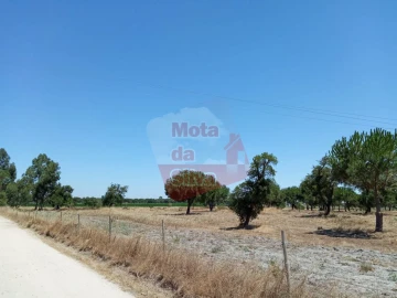 Terreno para Venda em Palmela