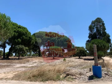 Terreno para Venda em Palmela