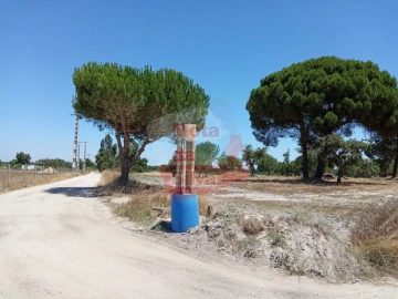 Terreno para Venda em Palmela