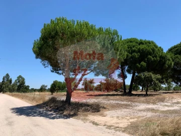 Terreno para Venda em Palmela