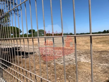 Terreno para Venda em Palmela