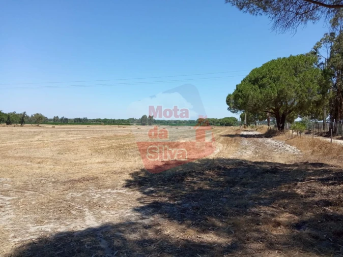 Terreno para Venda em Palmela Foto 4