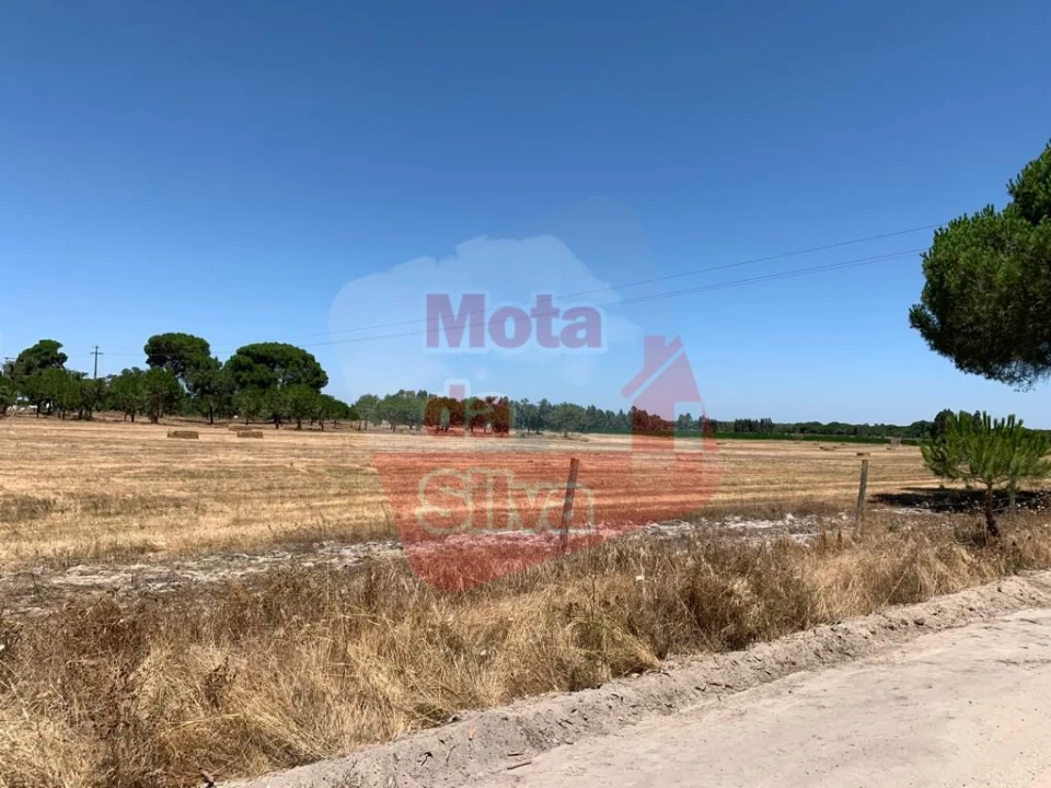 Terreno para Venda em Palmela Foto 18