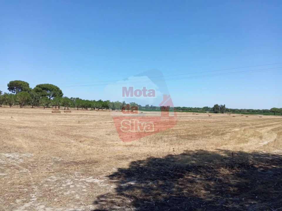 Terreno para Venda em Palmela Foto 5