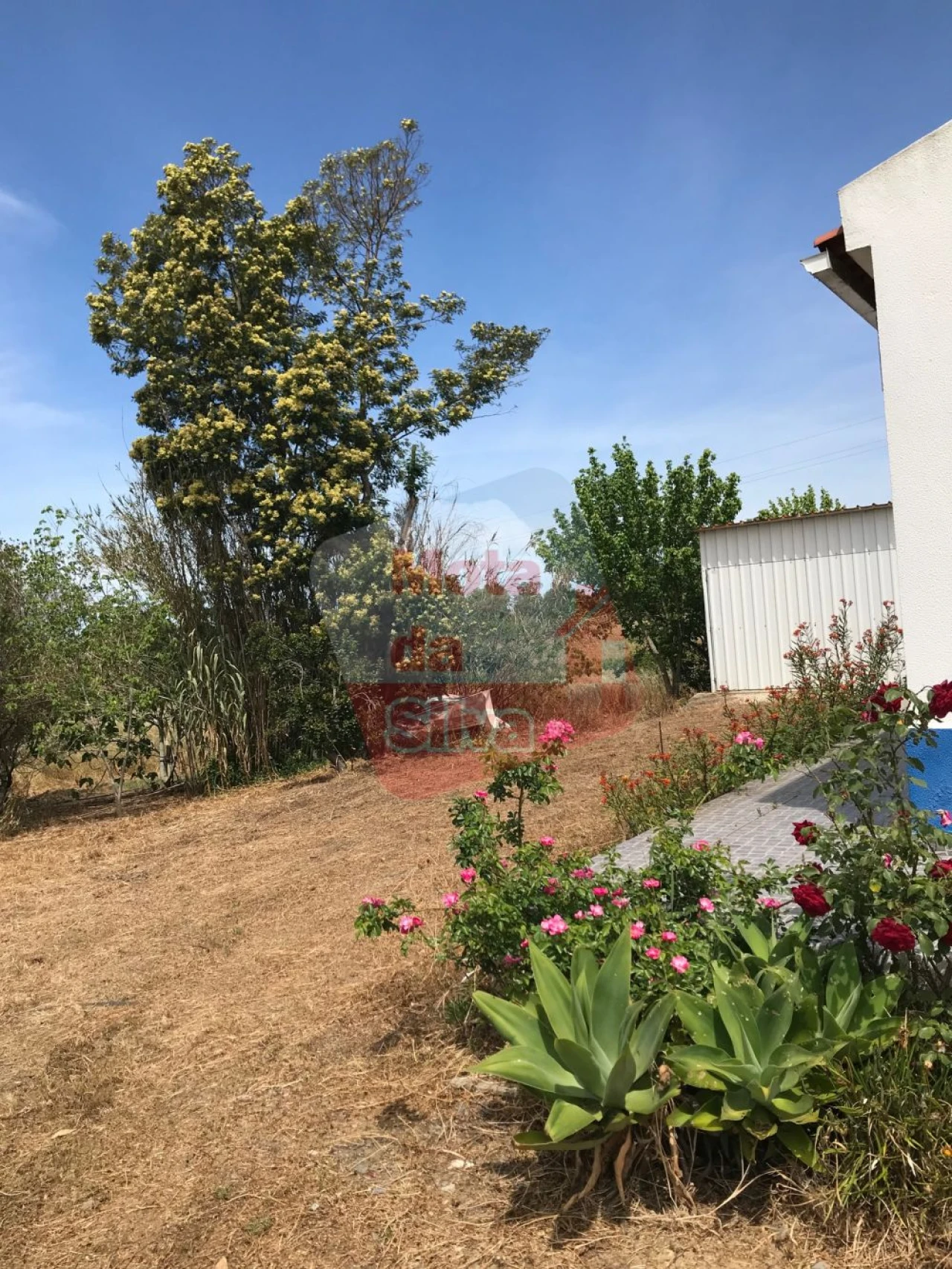 Moradia T3 para Venda em São Francisco da Serra Foto 18