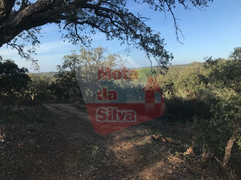 Terreno para Venda em Santiago do Cacém, Santa Cruz e São Bartolomeu da Serra Foto 3