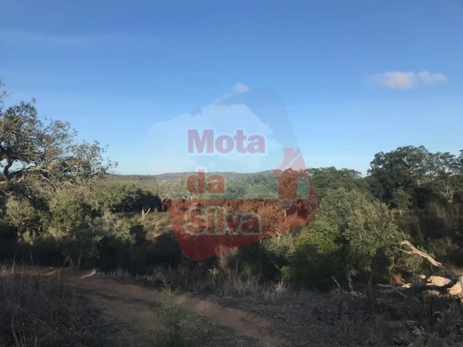 Terreno para Venda em Santiago do Cacém, Santa Cruz e São Bartolomeu da Serra Foto 8