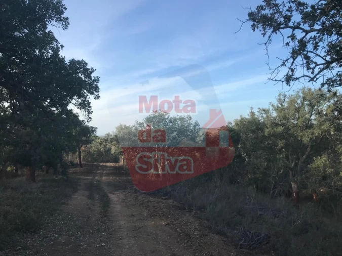 Terreno para Venda em Santiago do Cacém, Santa Cruz e São Bartolomeu da Serra Foto 6