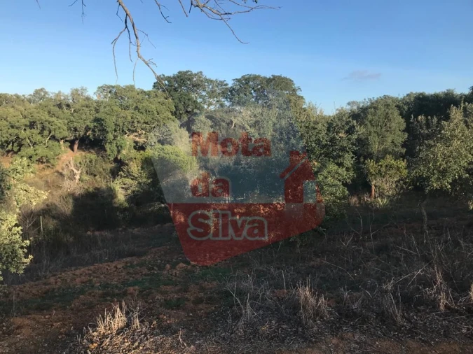 Terreno para Venda em Santiago do Cacém, Santa Cruz e São Bartolomeu da Serra Foto 2