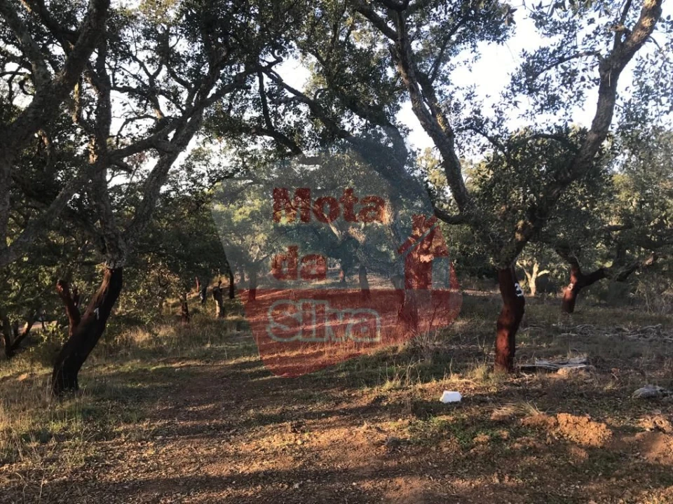 Terreno para Venda em Santiago do Cacém, Santa Cruz e São Bartolomeu da Serra Foto 4