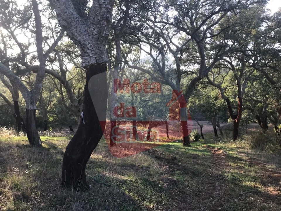 Terreno para Venda em Santiago do Cacém, Santa Cruz e São Bartolomeu da Serra Foto 5