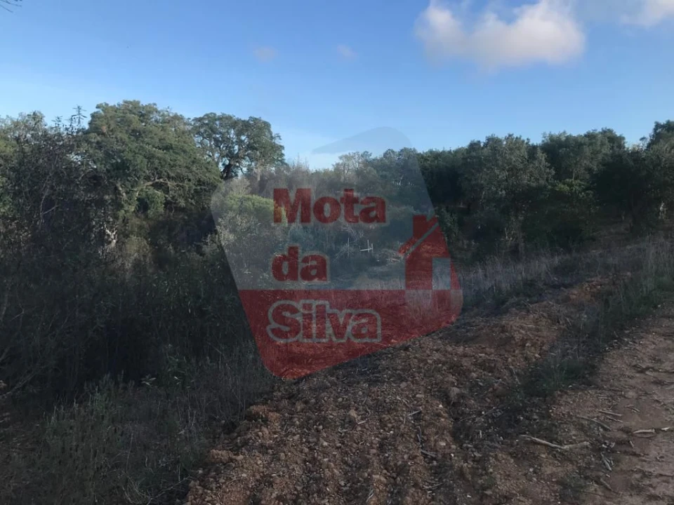 Terreno para Venda em Santiago do Cacém, Santa Cruz e São Bartolomeu da Serra Foto 7