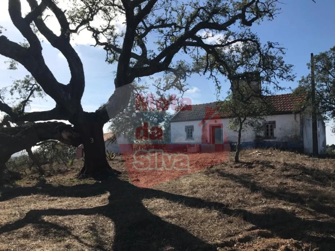 Quinta T2 para Venda em São Francisco da Serra Foto 1
