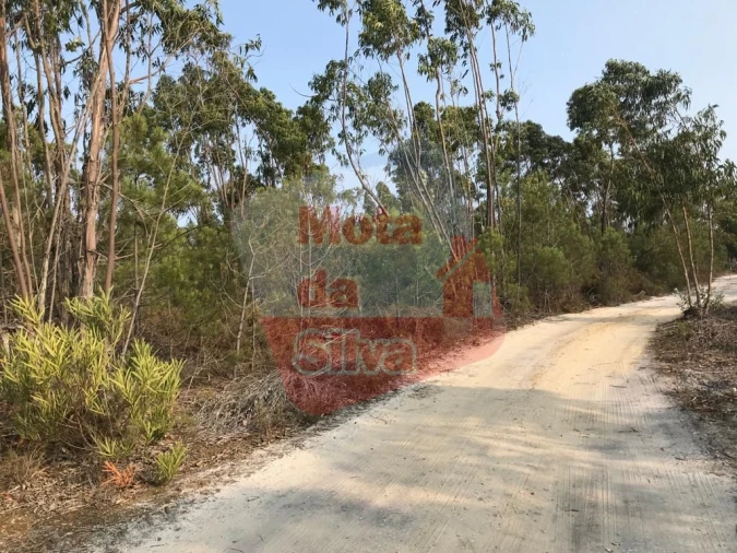 Terreno para Venda em Melides Foto 11