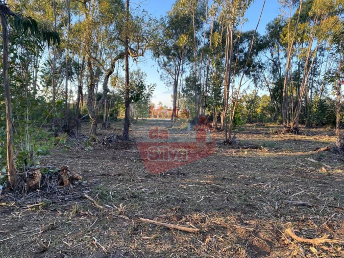 Terreno para Venda em Melides Foto 6