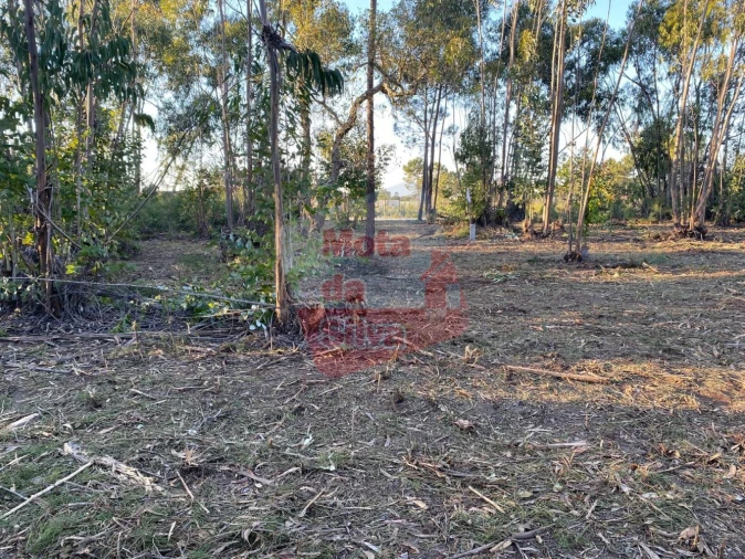 Terreno para Venda em Melides Foto 10