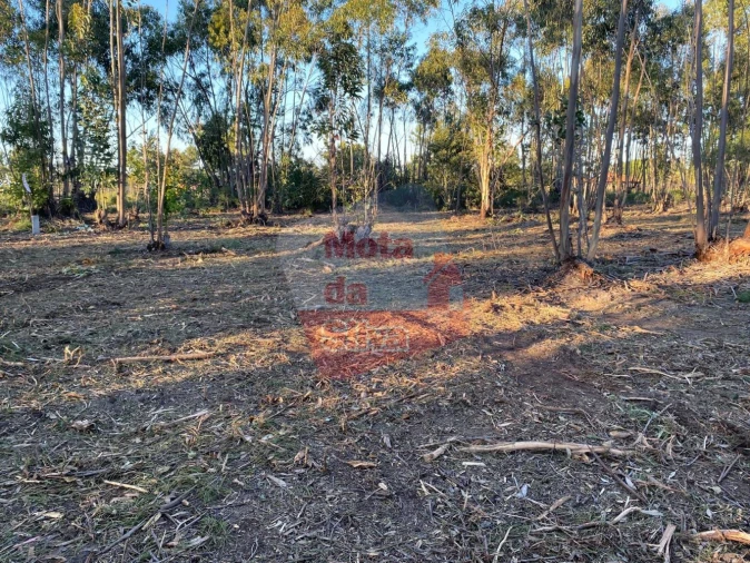 Terreno para Venda em Melides Foto 9