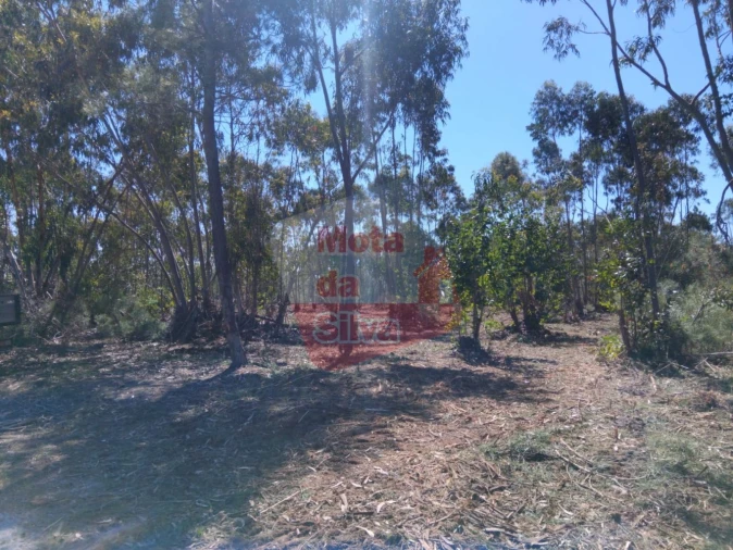 Terreno para Venda em Melides Foto 5