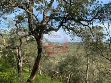 Terreno para Venda em São Francisco da Serra