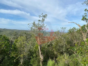 Terreno para Venda em São Francisco da Serra